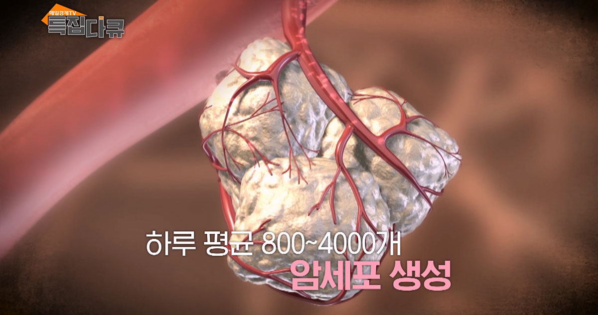 매일경제TV 특집다큐 '신면역시대'